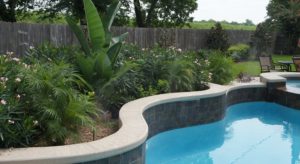 yard mosquito misting spraying pool