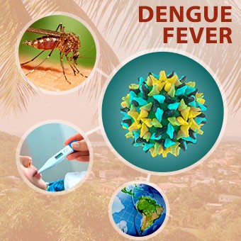 dangers of mosquito