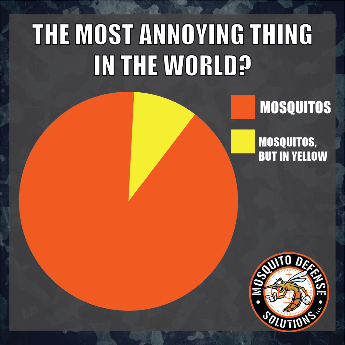 Most Common Types Of Mosquitoes In Texas MDS