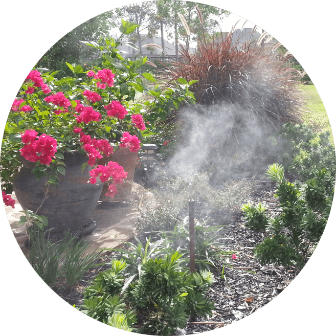 mosquito control system houston